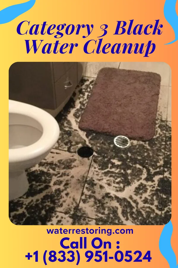 Category 3 Black Water Cleanup in Lyndonville, VT